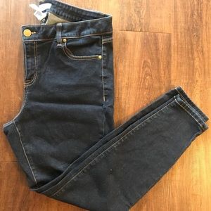 Lane Bryant Skinnies